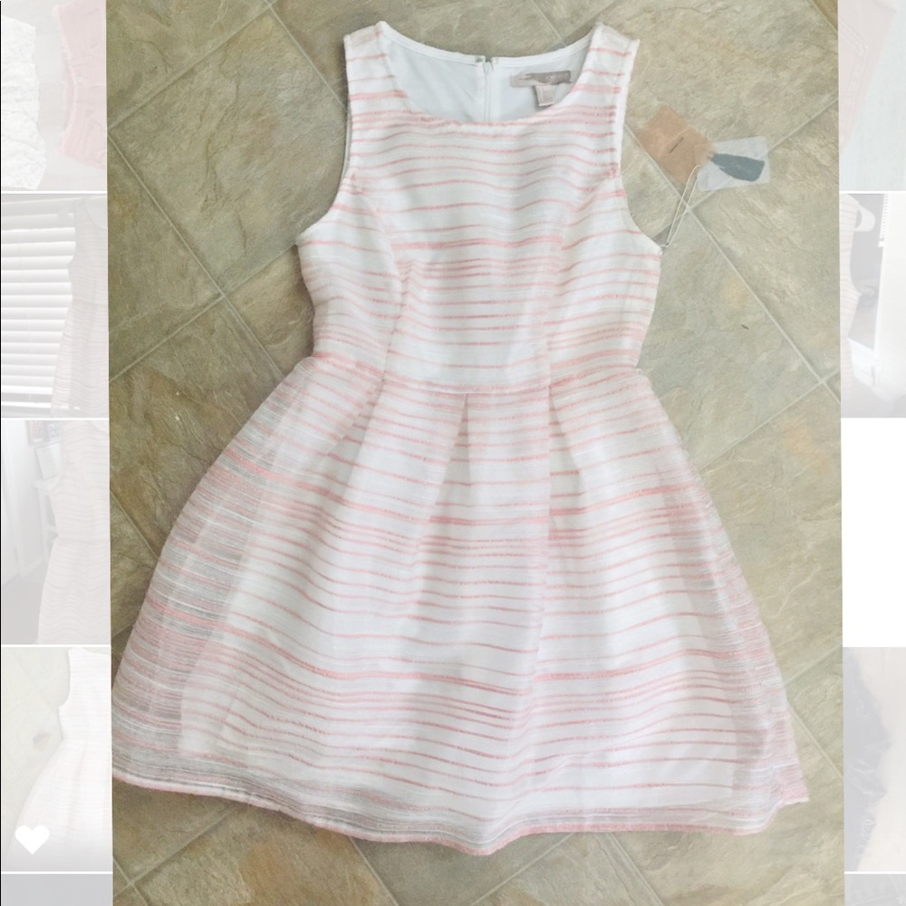 Pink Lined Flirt Mini Dress